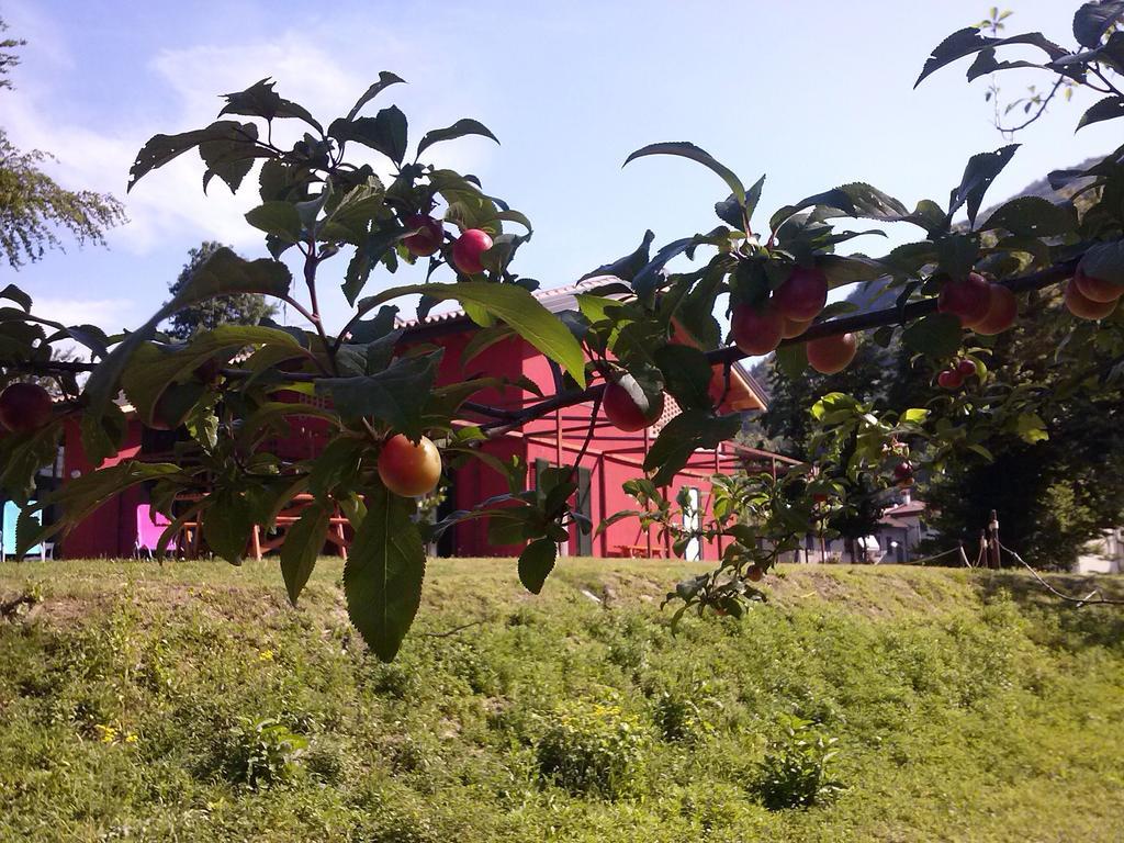 拉韦诺-蒙贝洛 罗萨之家旅舍旅舍 外观 照片